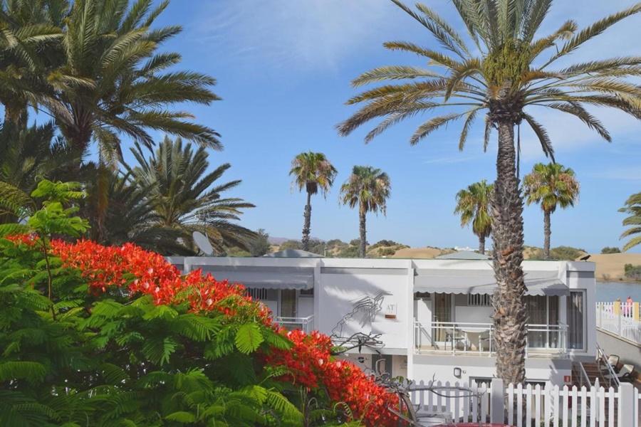 Apartamentos Dunaoasis Maspalomas Maspalomas  Exterior photo